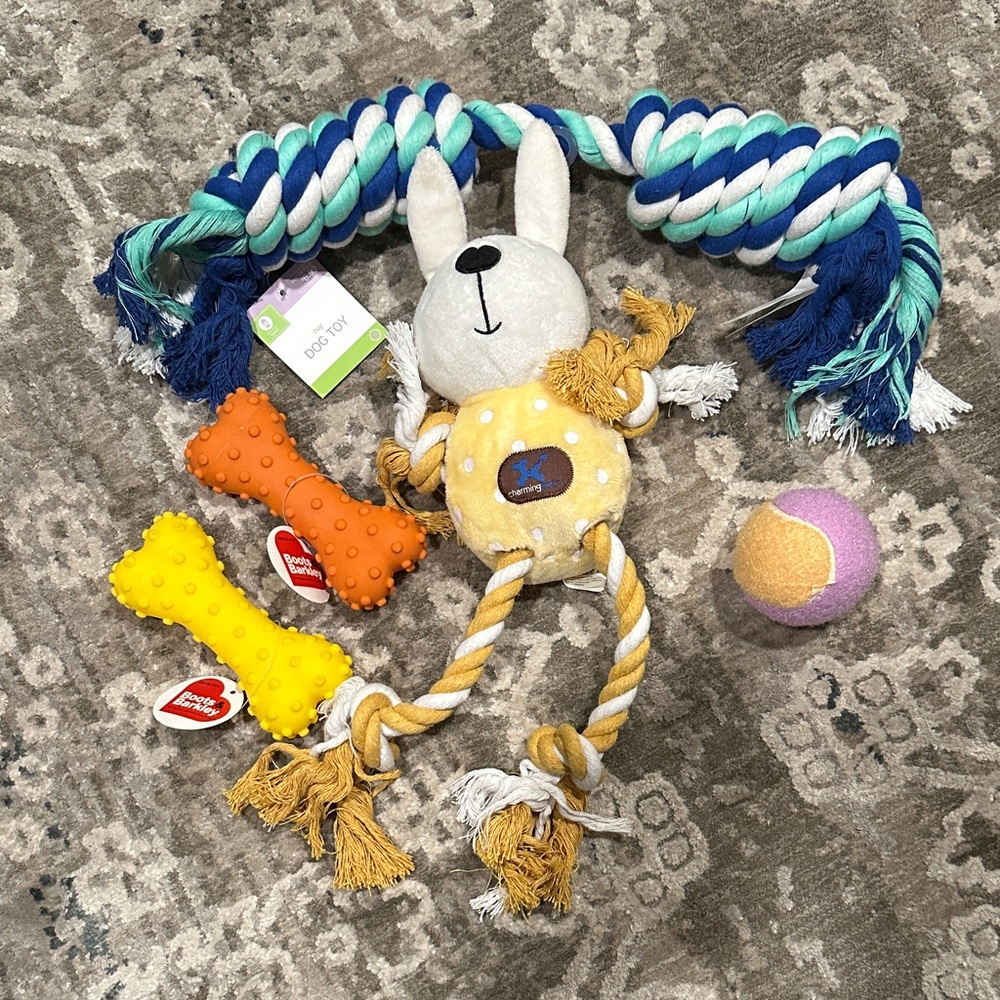 Target Colorful Dog Toy Set with Rope and Squeaky Toys